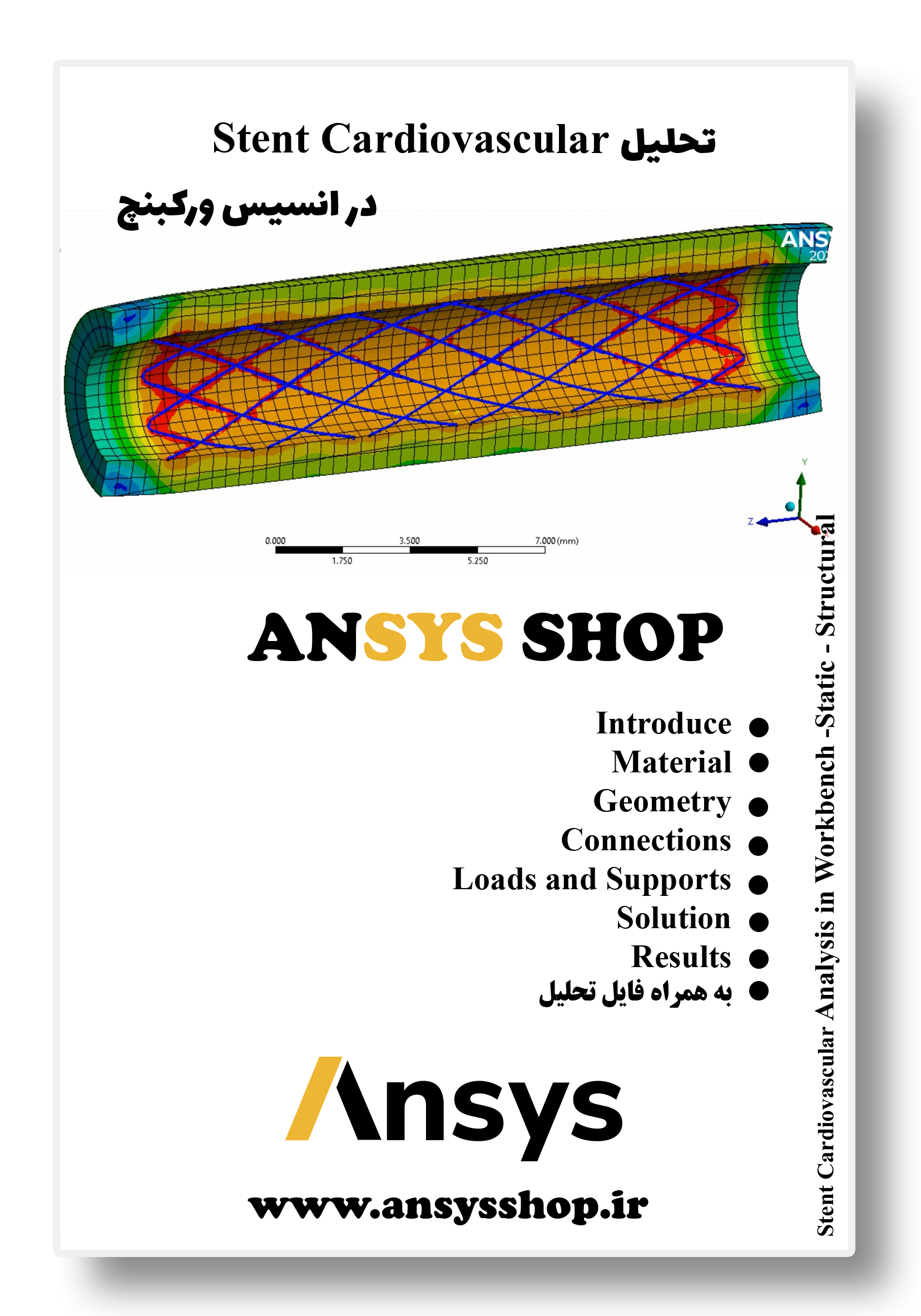ansys shop